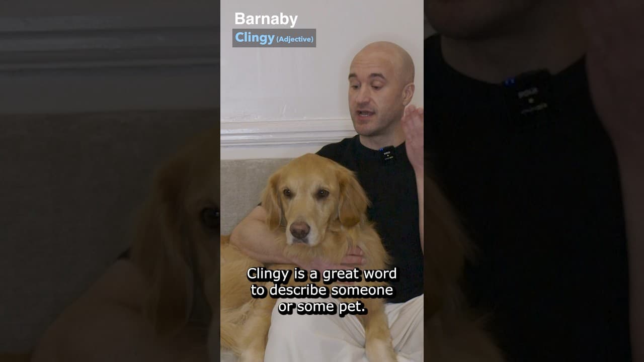 THIS DOG teaches English!